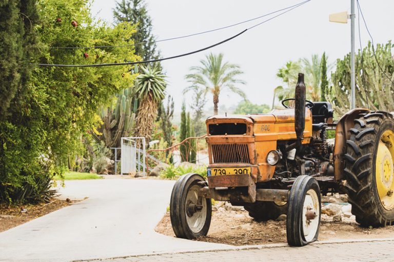 איילת השחר אירוח גלילי - אירוח כפרי בצפון